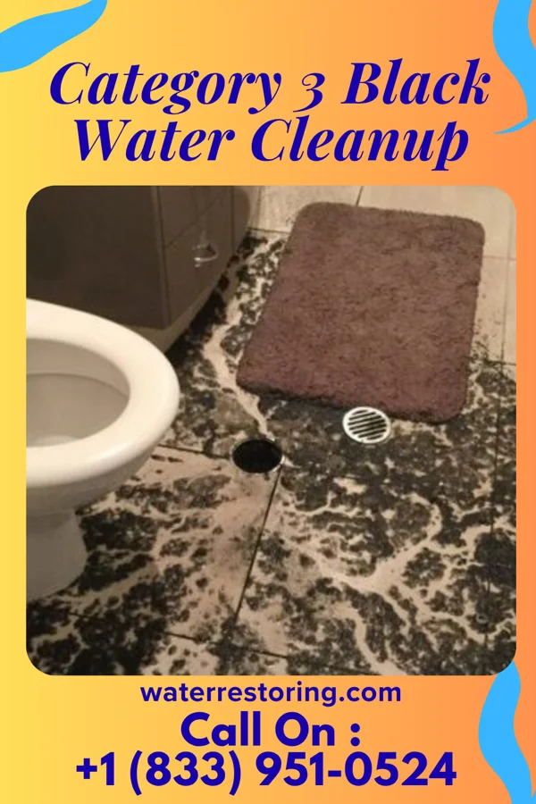 Category 3 Black Water Cleanup in Racine, MN