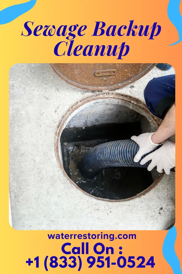 Sewage Backup Cleanup in Racine, MN