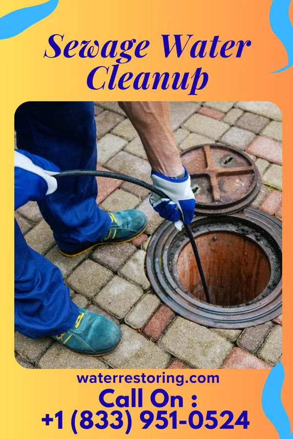 Sewage Water Cleanup in Racine, MN